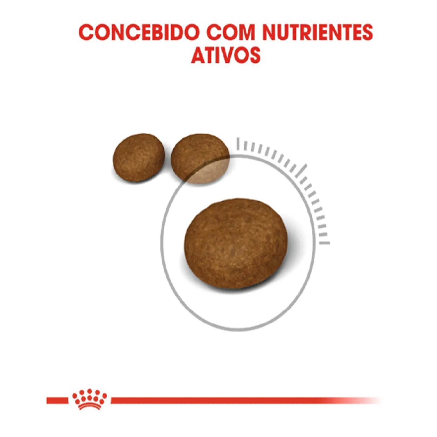 Ração Royal Canin Pele e Pelagem para Gatos Adultos
